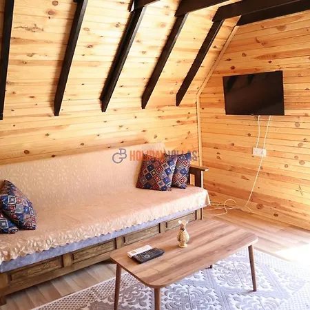 Tiny House 2